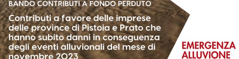 Webinar informativo RICHIESTA DANNI AZIENDE EMERGENZA 2023