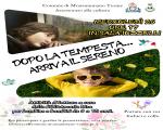 26 marzo 2025 Letture per bambini da 6 a 10 anni in Biblioteca