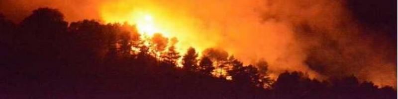 Catasto dei boschi percorsi dal fuoco legge R.T. 39/2000