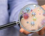 Aggiornamento Coronavirus dalla Regione Toscana