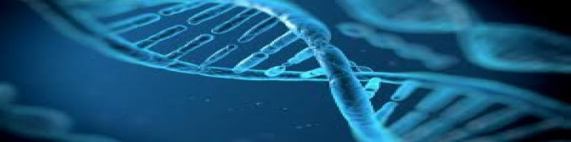 26 gennaio 2020 "Domeniche al Planetario" al Museo