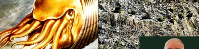 3 maggio 2024 Conferenza "Monsummano Alto. Geologia, fossili, grotte, acque" in Biblioteca