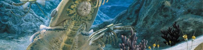 4, 11 e 18 ottobre Dalle origini della vita ai dinosauri in Biblioteca