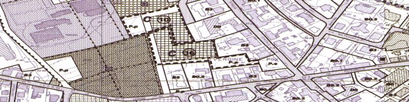 Variante n.2 al Regolamento Urbanistico - comparti edificatori 10 e 36 e circolo di Pozzarello (decaduto e non più in vigore)