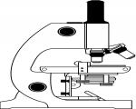 Â“Corso di microscopiaÂ”: venerdÃ¬ 6-13Â–20 e 27 aprile in Biblioteca