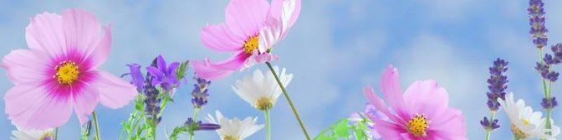 17 marzo 2019 “E’ primavera!†Laboratorio per ragazzi al Mac,n